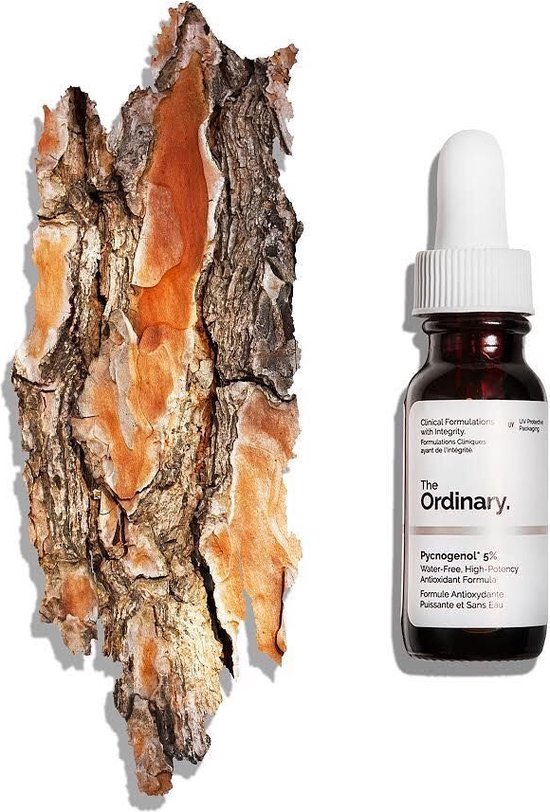 The Ordinary Pycnogenol 5% Serum – 15 ml