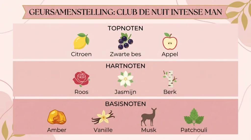 Infographic over de geurcompositie van Armaf Club de Nuit Intense Man